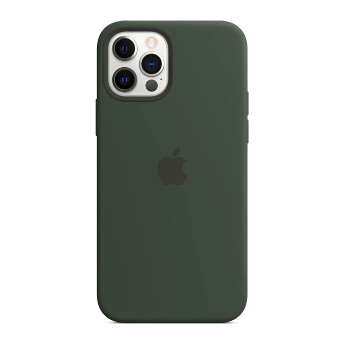 Silicone Backcover MagSafe Apple iPhone 12 (Pro) - Cypress Green